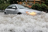 Kl99kl phiên bản hoạt động nỗ lực cắt dây lỗ nghiệp vụ